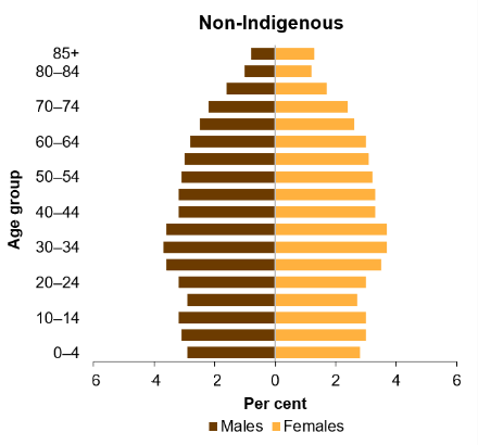 The second bar chart shows that for non-Indigenous Australians, the largest proportion of population is among those in the 25&ndash;29, 30&ndash;34 and 35&ndash;39 age groups. Comparison of the two charts shows that the First Nations population has a younger age profile than the non-Indigenous population. 